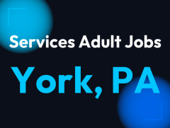 $240 an hour - Hiring Women and Men - Start working in 24 hours