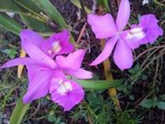 Ya it is cold and rainy, out there...... But it is nice and cozy here. Come by for a Massage, 28