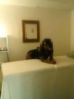 Be treated like a king with Carmen, 24