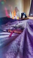 ????TS Eva in BERLIN! Feel Like A PORNSTAR!????????(475)265, 36