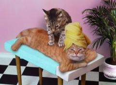 ~*~*~*~ Hi come on by, to Yosemite Massage ~*~*~*~, 28