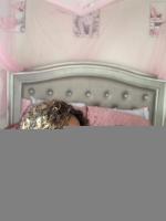 Super Model Barbie Visiting For A Short Time Only, 25
