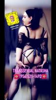 Natasha Transsexual available in Brownsville Texas (956)521, 32