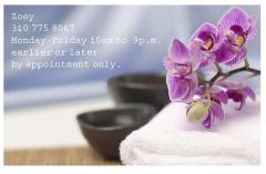 WAXING, BODY SCRUBS, MASSAGE OR MANSCAPING services in the privacy of my quiet, Studio home, 27