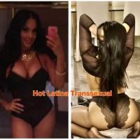 Sexy hot Latina transexual ready for fun!!!, 29
