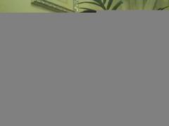 Avaiiable Now . . . . Jamario Black!! Just visiting!!, 24