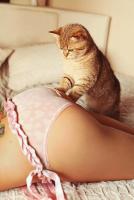 Enjoy high quality facilities! You wont forget your visit!, 32