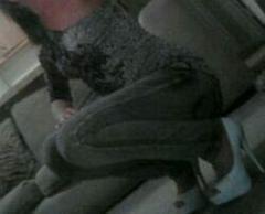 Sweet Enjoyable and available now outcall only, 26
