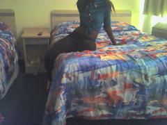 $$$$$ NEW IN TOWN Brazillin SEXII CHOCOLATE KISS JUST U $$$$909 332-9515$$$$$$$$ AGE, 21