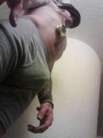 *-* NEW *-* Come and EXPERIENCE and ENJOY Everything .... WILD or TAME your time wit me will b FUN, 28