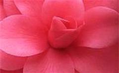 ********* " LET ME TOUCH YOU " ********* (Room Service to your Hotel) ~~~~ SENSUOUS BODY RUB ~~~~, 34