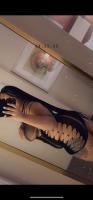 TS BBW Barbie Dream Girl Mariah, 26