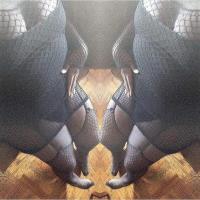 Super wet BBW party girl TS Monica!!!!, 24