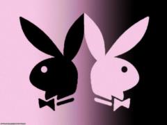 _______ _______ Y___O___U___R_ *â–ˆ*_D___ R___E___A___M _*â–ˆ* _B___O___D___Y __W__O__R__K !!!!!, 29