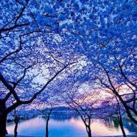 Soothing massage....., 28