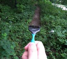 Are You Ready To Be Manscaped?, 34